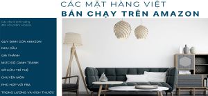 Hàng Việt nào bán chạy trên Amazon?